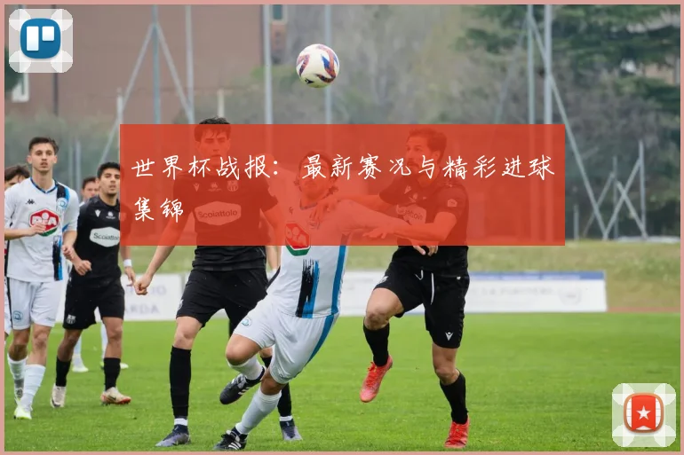 世界杯战报：最新赛况与精彩进球集锦