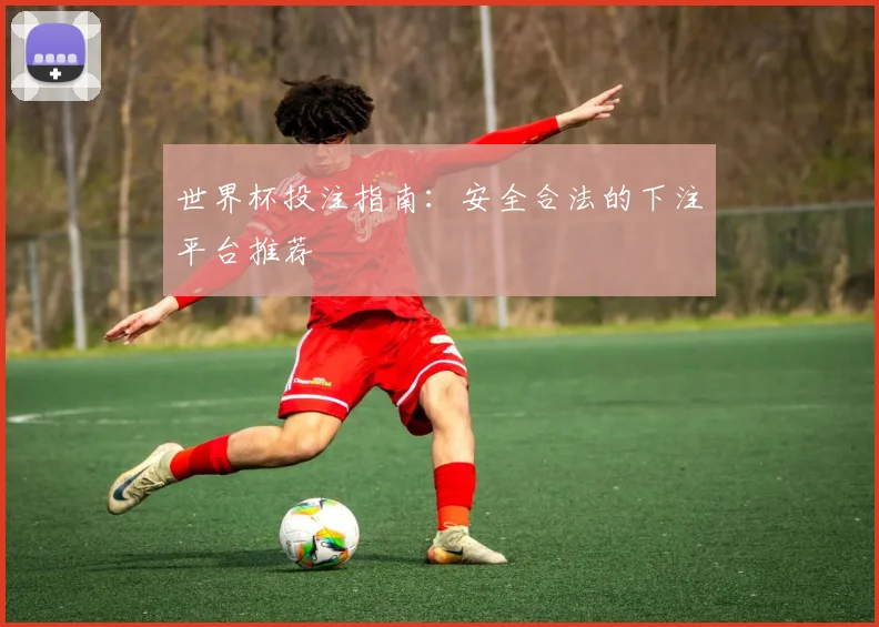 世界杯投注指南:安全合法的下注平台推荐